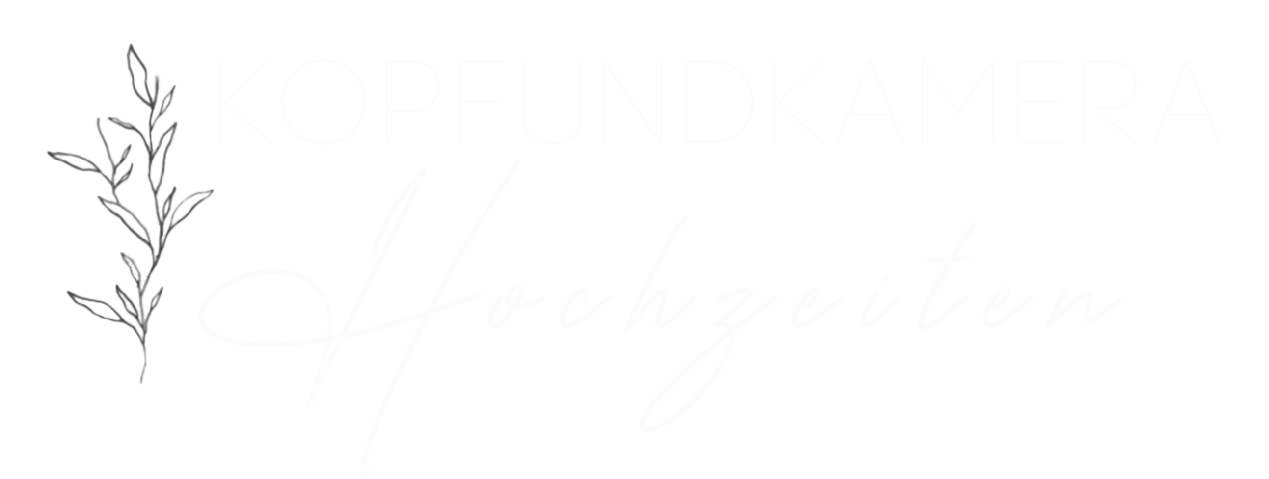 Kopfundkamera Hochzeiten